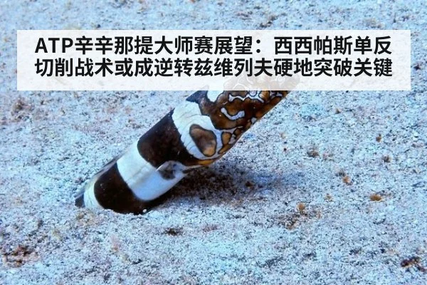 ATP辛辛那提大师赛展望：西西帕斯单反切削战术或成逆转兹维列夫硬地突破关键